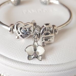 Pandora Charmed Bracelet Adventure Themed